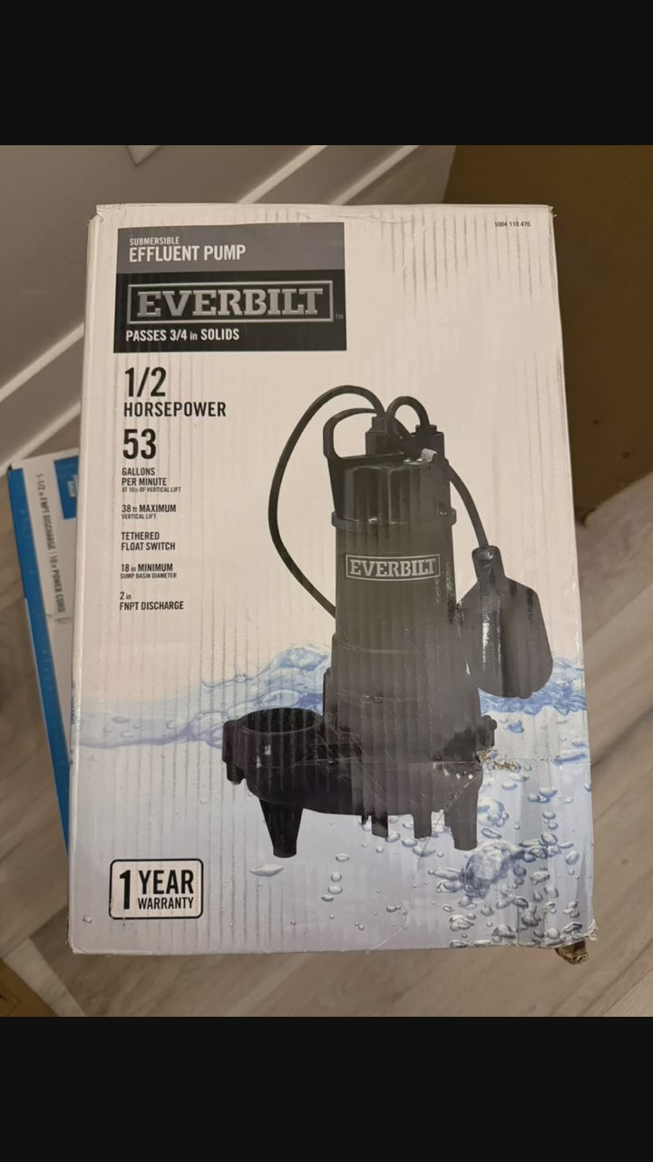 Everbilt Effluent pump
